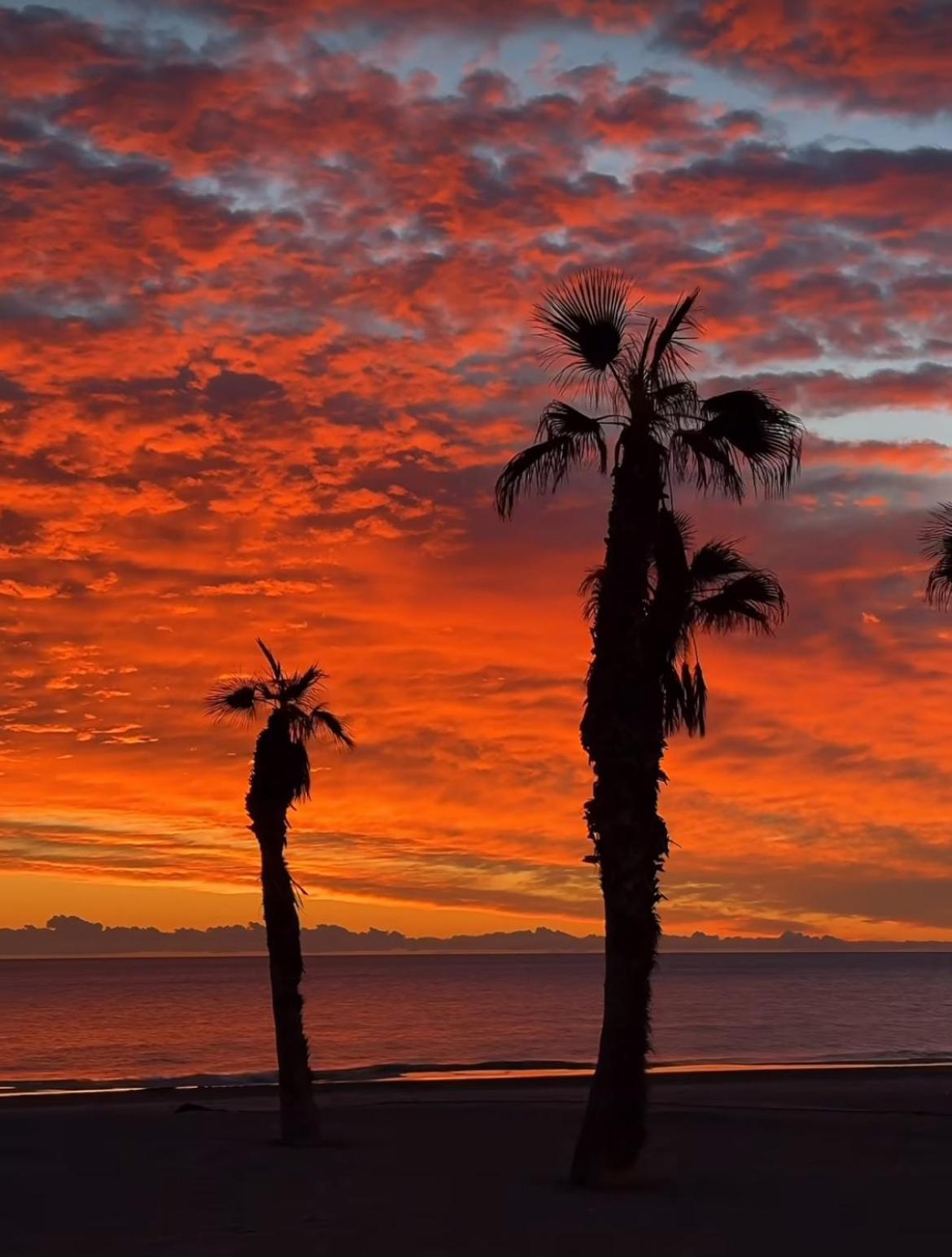 Stunning Sea View Alicante Exterior foto