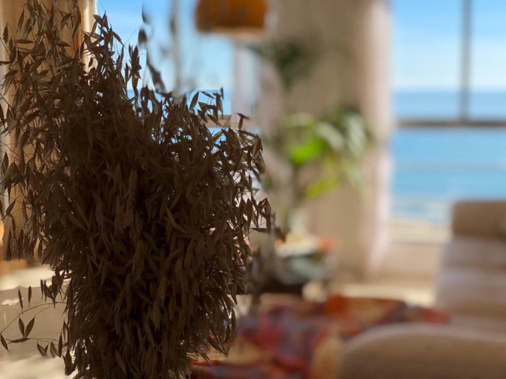 Stunning Sea View Alicante Exterior foto